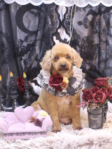 20231026美喜ちゃん